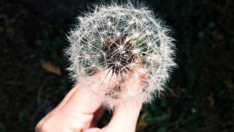Custom Web Application Development: Everything You Need to Know